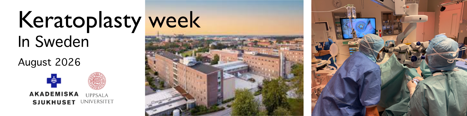 DALK week in Uppsala, Sweden